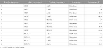 High-throughput AR dimerization assay identifies androgen disrupting chemicals and metabolites